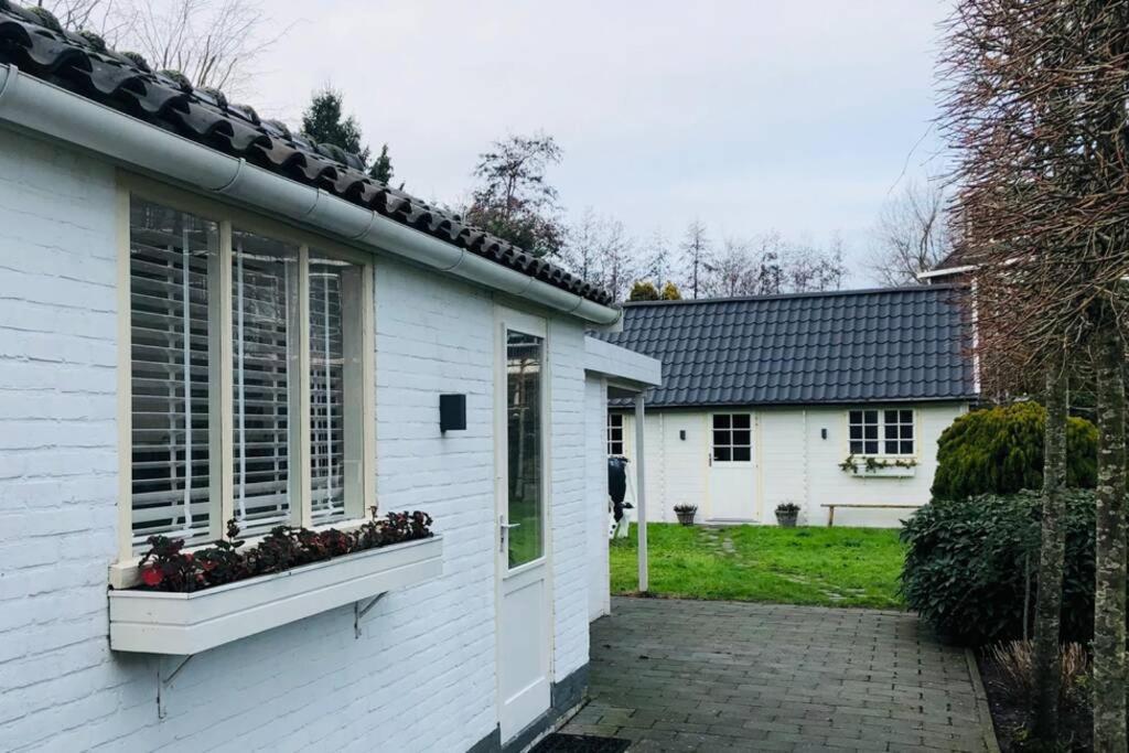 Tiny house in tuin van de statige villa Mariahof Dordrecht Buitenkant foto